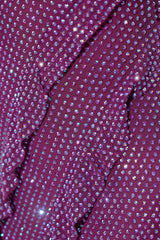 Embellished Ruffle Mini Dress in Plum